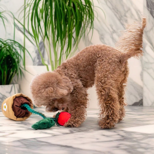 Plüsch Quietschspielzeug für Hunde Erdbeertopf